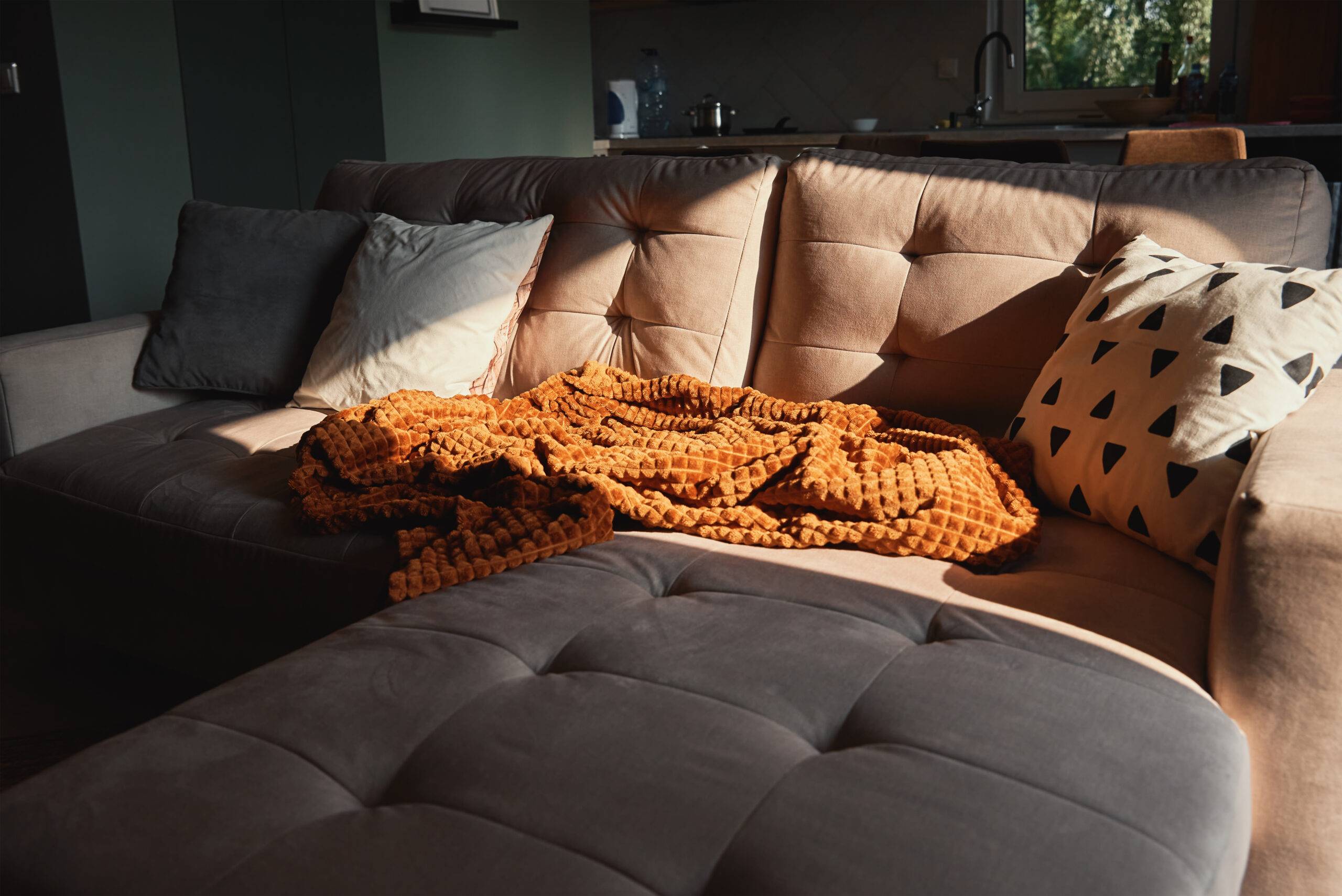 Sofa with plaid and cup of tea. Place for relaxation. Moderm room interior
